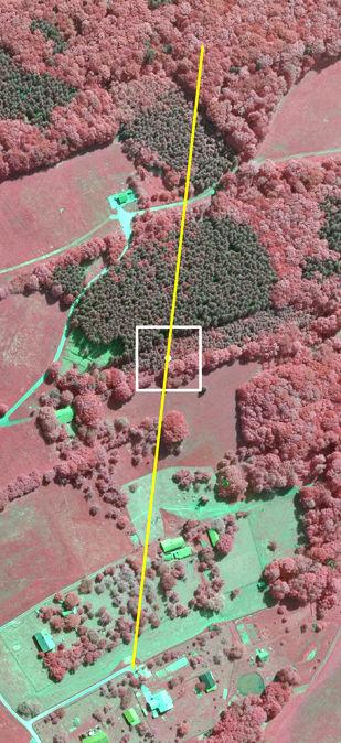 Interpretace fotogrammetrického transektu Cílem šetření na fotogrammetrickém transektu je zaznamenat rozptýlenou vegetaci v krajině, která nespadá do některé z kategoríı pozemků NIL.