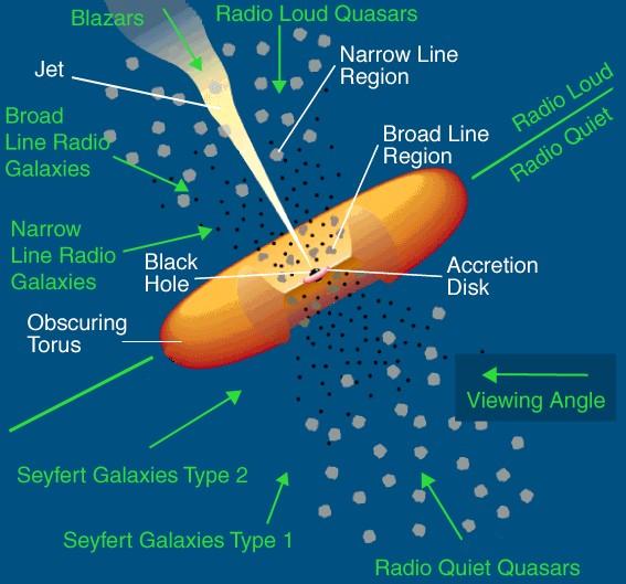 Seyfert galaxies are