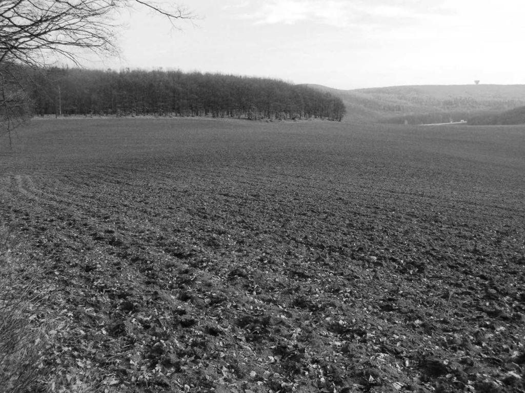 Zprávy o výzkumech za rok 2007: Neolit Hluboké Mašůvky (Bez. Znojmo). Kultur mit Linearbandkeramik. Siedlung. Rettungsgrabung. HULÍN (OKR. KROMĚŘÍŽ) Višňovce (Hulín-Pravčice 2). LnK. Sídliště.