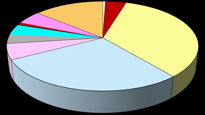 Běžné výdaje vl. hl. m. Prahy - RU dle kapitol 08 1,36% 4,58% 7,21% 10 13,15% 01 02 0,64% 4,59% 34,17% 06 3,08% 4,78% 26,46% Běžné výdaje vl. hl. m. Prahy - skutečnost dle kapitol 5,77 10 13,06% 01 0,61% 02 4,67% 08 1,24% 4,43% 06 2,98% 34,89% 4,66% 27,69% Kapitálové výdaje vykazují čerpání na 68,23 % RU.