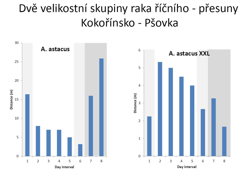 Dvě velikostní skupiny raka říčního (Pšovka) přesuny menší raci - větší přesuny (p = 0.