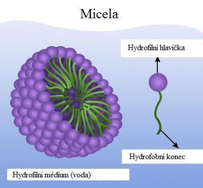 zapříčiněn tvorbou micel, ale sekundárními (zejména hydrofobními) interakcemi způsobených změnou ph. Proto tvrdí, že vznik micel nelze jenom tak jednoduše potvrdit ani vyvrátit. Obr.
