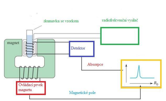 magnetického pole v jádrech atomů. Obecně můžeme pozorovat tuto absorpci u všech izotopů s nenulovým (přesněji řečeno nevykompenzovaným) magnetickým momentem.