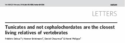 Delsuc F. et al. : Nature 439/23 (2006), 965-968 Stach T.