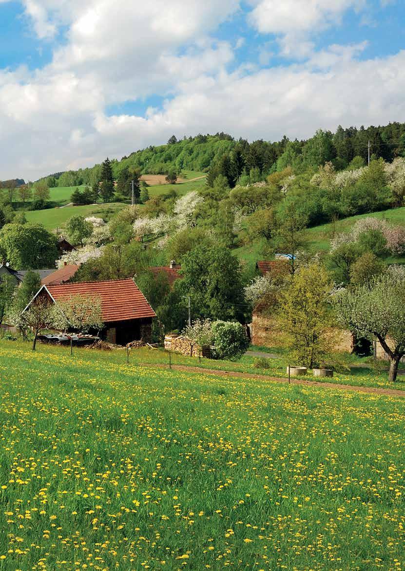 JARO 2017 zprávy ze správy Zpravodaj Správy úložišť