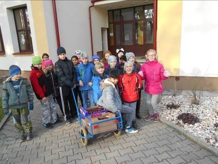 KRÁL PEXESA Ve čtvrtek 23.11.jsme měli soutěž v oblíbeném pexesu. Rozdělili jsme se do několika skupin.
