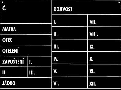 století bohužel často v papírové formě (sešity kulhání, reprodukce,