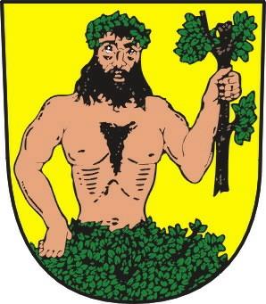 MĚSTO MĚSTO ALBRECHTICE USNESENÍ z 1. ustavujícího zasedání zastupitelstva města konaného dne 11.
