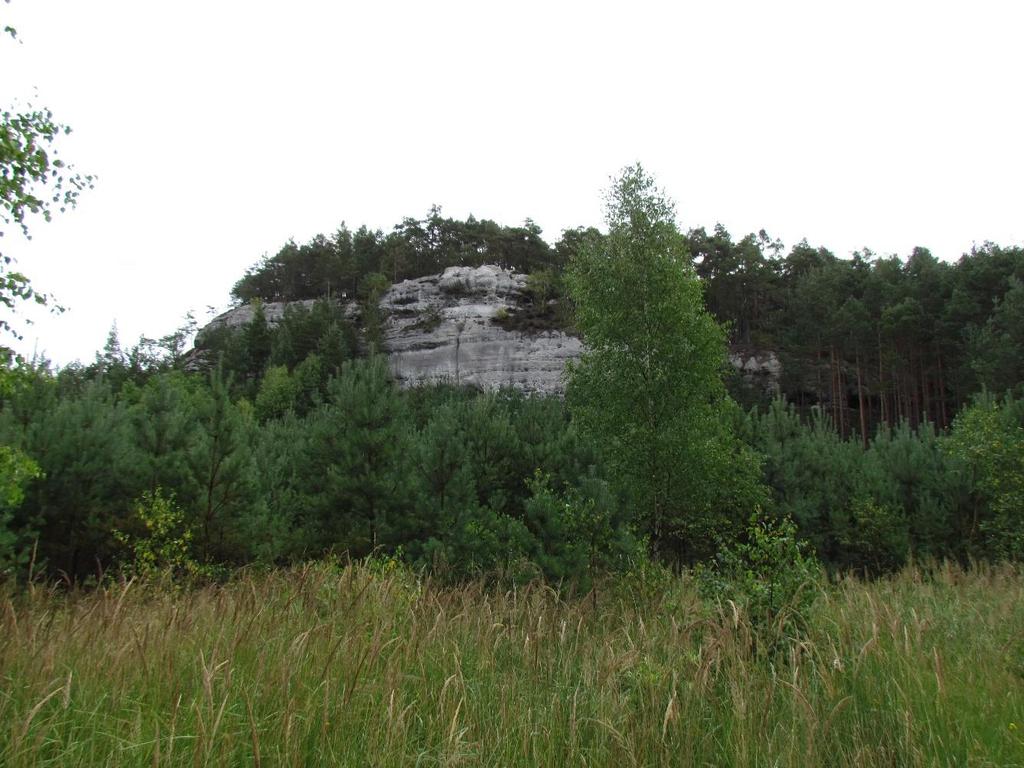 ŠIROKÝ KÁMEN Téma: Ukázka reliktu elevace tabulové hory. Pískovcový fenomén. Ukázka geomorfologických útvarů.