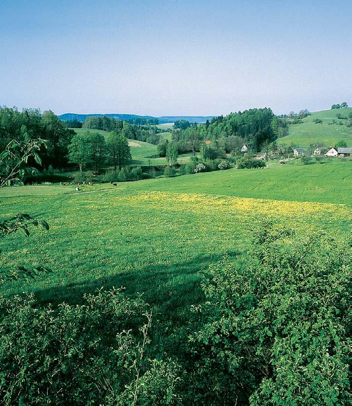 Do jiïní ãásti parku zasahuje Mírovská vrchovina.