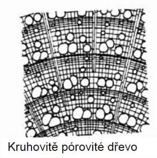 roztroušeně pórovitou