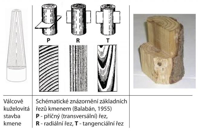Rozdělení