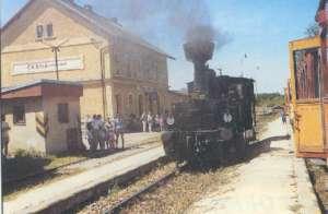 23 panství Rožmberků a majitelem byl hrabě František Leopold Buquoy. Na počátku 20. století se počet domů rozrostl na jedenáct, pak třináct a uvádí se 116 německých obyvatel.