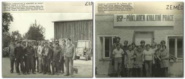 35 výnosu obilovin dosáhl provoz v roce 1977 ( z 574 ha byl výnos 3,34 t z ha), pod úrovní 3 tuny z ha byl v šesti létech z deseti.výsledek opět většinou zachraňovala dojivost krav.