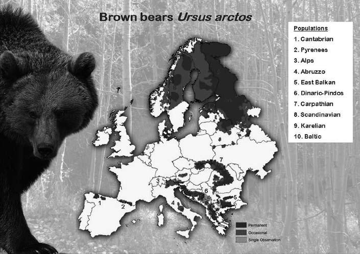 Ochrana velkých šelem v EVROPSKÉ UNII V současné době státy Evropské unie již pokrývají dostatečně velké území Evropy, aby mohly zajistit přežití populací velkých šelem na tomto kontinentu.