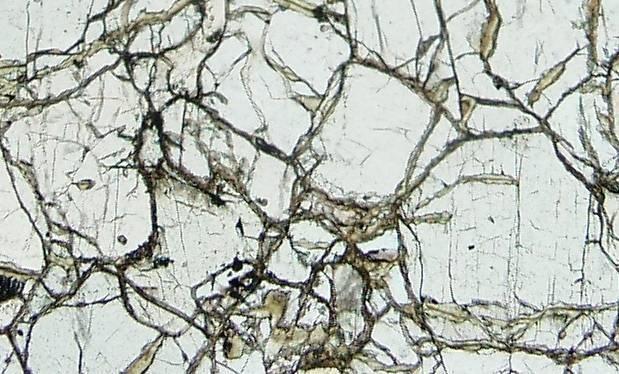 vzorcích plášťových xenolitŧ nevyskytuje, aţ na některé výjimky, kdy se nachází v okolí symplektitu s klinopyroxeny. Zrna olivínu jsou allotriomorfní a v menší míře hypidiomorfní.