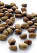 Bob fazole Fieldbean Féveroles Chia WHITE Florex NACKAS volné DC25 volné Macrotyloma uniflorum Množství kg/min kg/min Množství kg/min kg/min Množství kg/min Množství kg/min Množství kg/min Výsevní