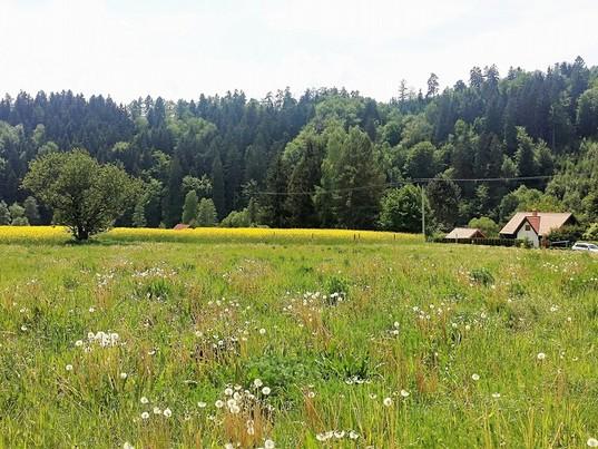 OCENĚNÍ Výpočet hodnoty pozemků Pozemek Porovnávací metoda Při stanovení obvyklé ceny bylo předpokládáno, že pozemky jsou volné a užívané v souladu s jejich nejvyšším a nejlepším využitím.