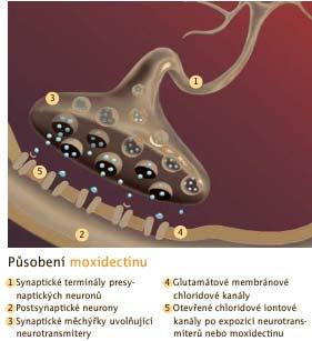 Imidacloprid působí proti vnějším parazitům (ektoparazité), moxidectin je namířen proti vnitřním parazitům (endoparazité).