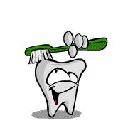 Zubní plak biofilm Přilnavá mikrobiální vrstva na povrchu zubu = ţivé i mrtvé bakterie + jejich produkty + sloţky hostitelské (ze slin) Nedá se opláchnout, odstranit lze pouze mechanicky Nejčastěji