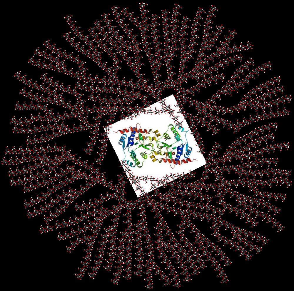 Polysacharidy l role: ukládání energie