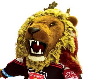 V brankovišti beranů byl oporou až do roku 2013, kdy pomohl týmu do finále extraligy. V následujících třech sezónách získal angažmá v KHL poté, co podepsal smlouvu v lotyšském klubu Dinamo Riga.