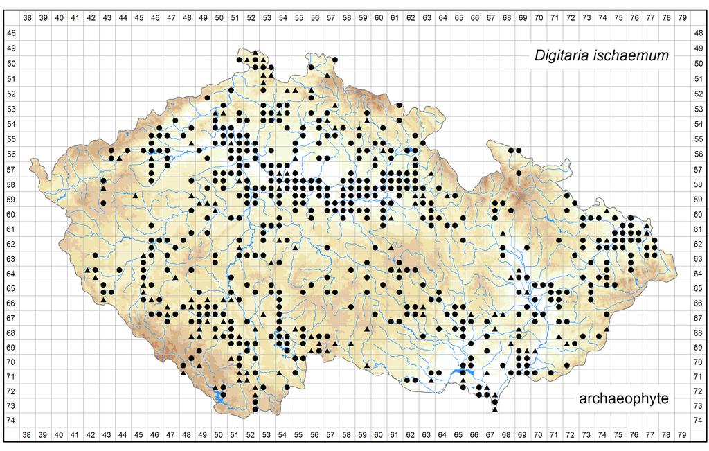 Distribution of Digitaria ischaemum in the Czech Republic Author of the map: Jiří Danihelka, Michal Ducháček Map produced on: 15-10-2017 Database records used for producing the distribution map of