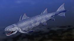 Dialipina Placodermi Chondrichthyes Acanthodii Actinopterygii Sarcopterygii