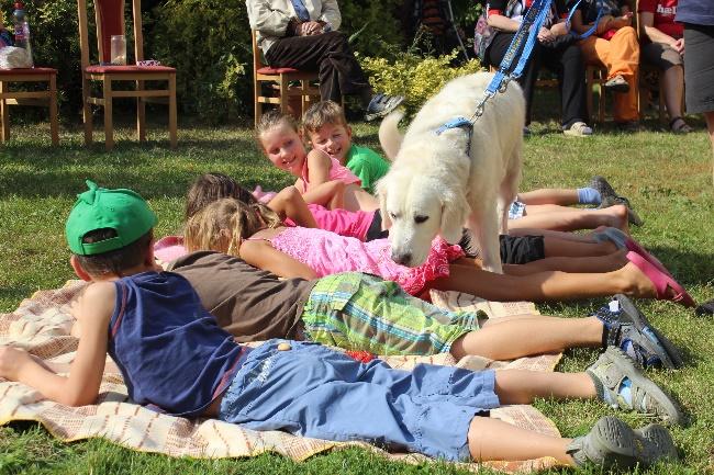 Výroční zpráva 2016 Setkání s canisterapeutickými psy 14. září V odpoledních hodinách proběhlo na farní zahradě setkání uživatelů se sdružením Hafík.