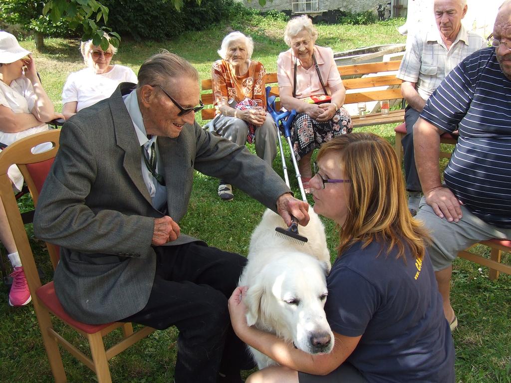 Pejsci se svými psovody předvedli, jak psí přítomnost dokáže léčit a pomáhat všude, kde je potřeba.