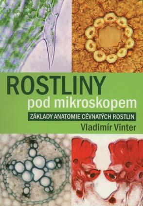 počítačové sítě,