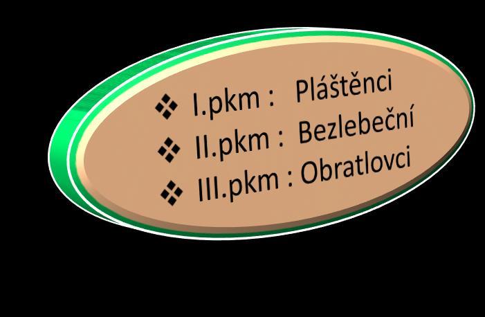 filtrování (původně potravy chrupavčitá, pak kostěná) Příčně Dýchání pruhovaná pokožkou svalovina, vnitřní orgány (kromě srdce) tvořeny