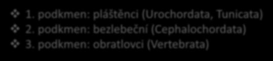 nadtřída : čelistnatci (Gnathostomata) 1.třída: sliznatky 2.třída: mihulovci 1.