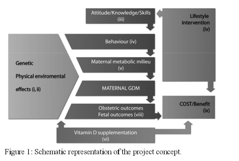 Excellence Concept Excelentnost projektu CO JE TEĎ?