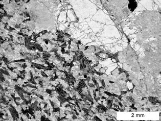 Modus hornin MME-hostitelský granitoid je shodný co do kvality mafických a salických minerálů, ale rozdílný jejich kvantitou.