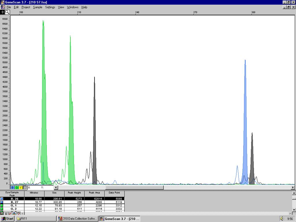 (fluorescenčně značené PCR fragmenty, např.