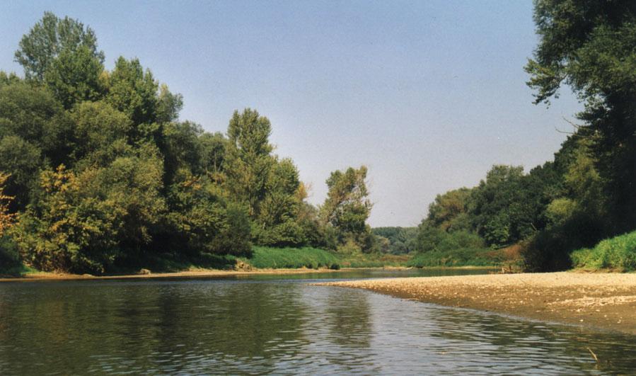 5). Niva řeky Moravy nad Rohatcem se vyznačuje zachovalým korytem, přirozenými vrbo-topolovými břehovými porosty a lužními lesy se
