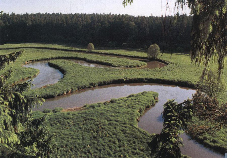 4Nh (Hlinité nivy 4. v.s.). Ve 4. v.s. jsou v ČR již jen relativně úzké nivy menších řek, avšak i v těchto vyšších polohách se vyvinuly celé meandrové pásy.