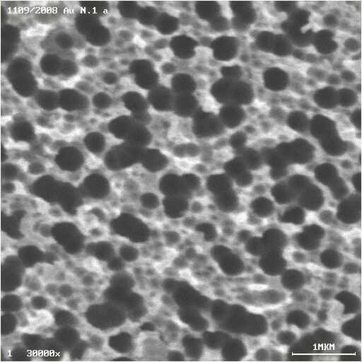Připravené tenké vrstvy hybridních nanostruktur byly použity pro studie biokompatibility a jejich možné aplikovatelnosti v tkáňovém inženýrství.