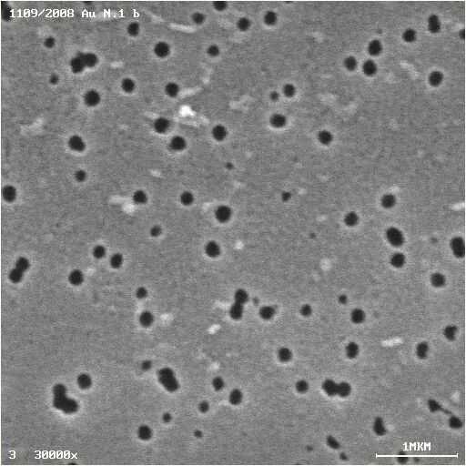 V rámci těchto experimentů byly analyzovány tenké vrstvy kontinuálních a mikrostrukturovaných fullerenů, hybridních kompozitů a nanokrystalických diamantů z hlediska jejich biokompatibility s buňkami