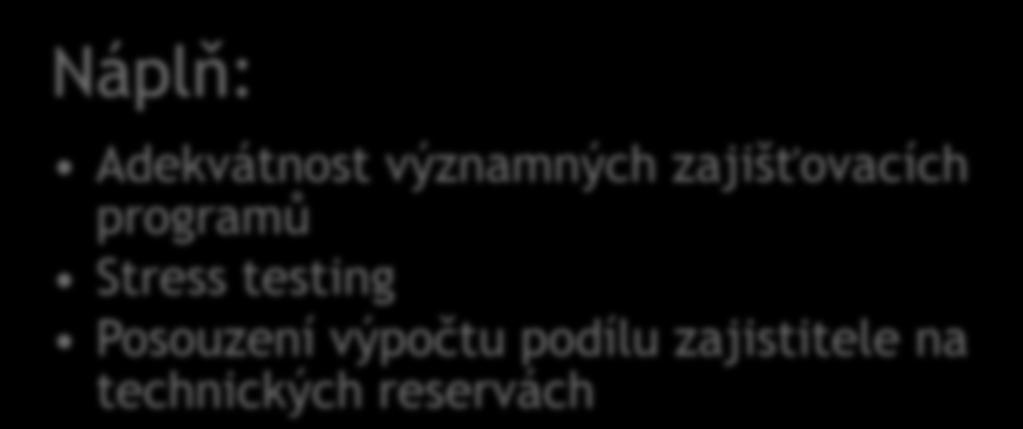 Posuzuje adekvátnost zajistých programů