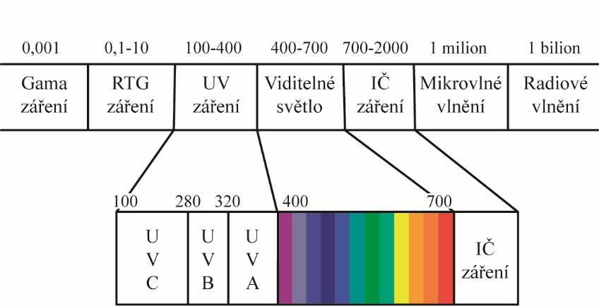 Obr. 8 Elektromagnetické spektrum (nm)[2] 1.5.2 Středotlaké rtuťové výbojky Středotlaké rtuťové výbojky patří mezi výbojové zdroje záření.