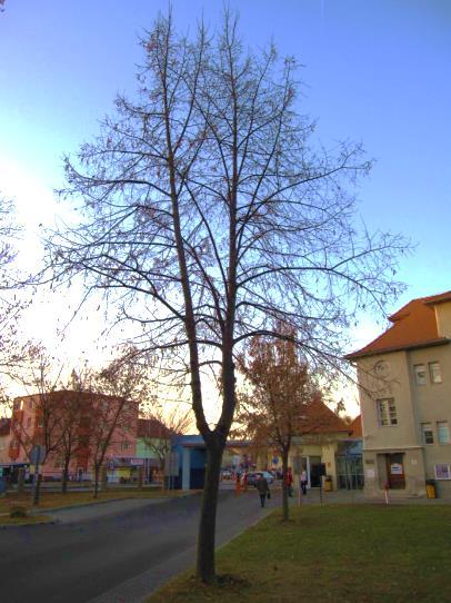 3.