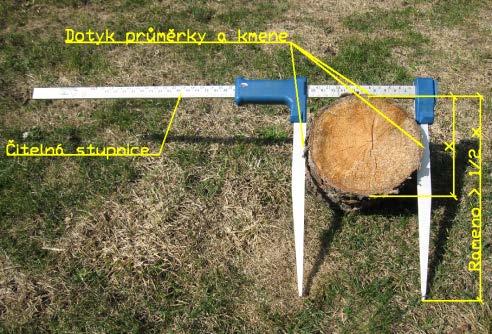 Dendrometry Diameter 130 cm Obvod (O) = π.