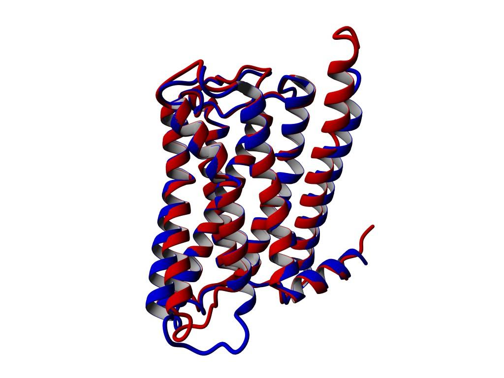 Obrázek 2: Struktura muskarinových receptorů. Vlevo: M 2 receptor s navázaným antagonistou QNB. Vpravo: srovnání struktury M2 (modře) a M3 (červeně) receptorů (PBD ID: 3UON; 4DAJ /www.rcsb.org/).