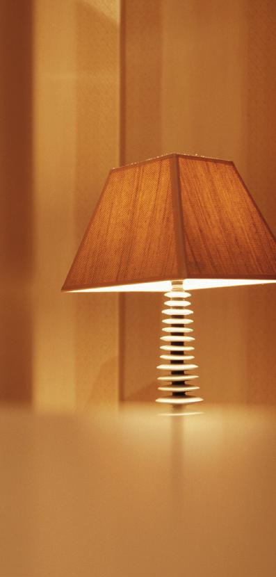 Úvod Každý z nás se někdy může dostat do situace, kdy nebude moci hradit své pravidelné měsíční výdaje za energie a služby spojené s užíváním bytu či domu (např.