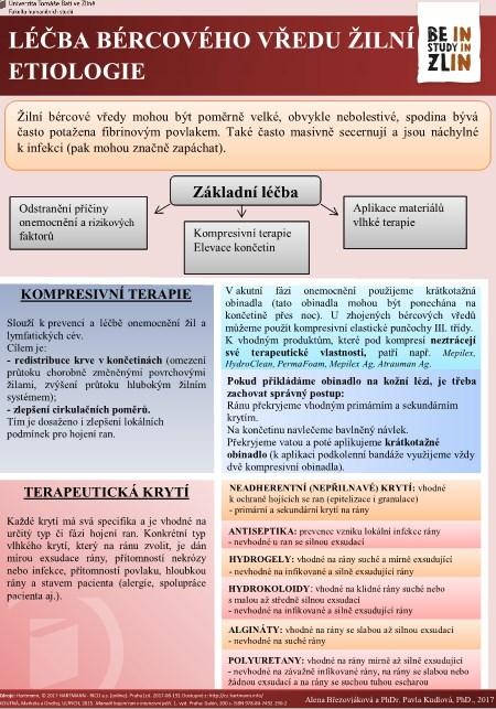 PŘÍLOHA P VI: LÉČBA