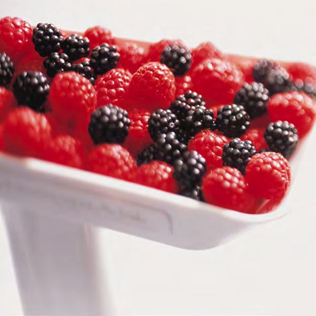 ARTISAN FRESH PREPARATIONS Food Processor Attachment