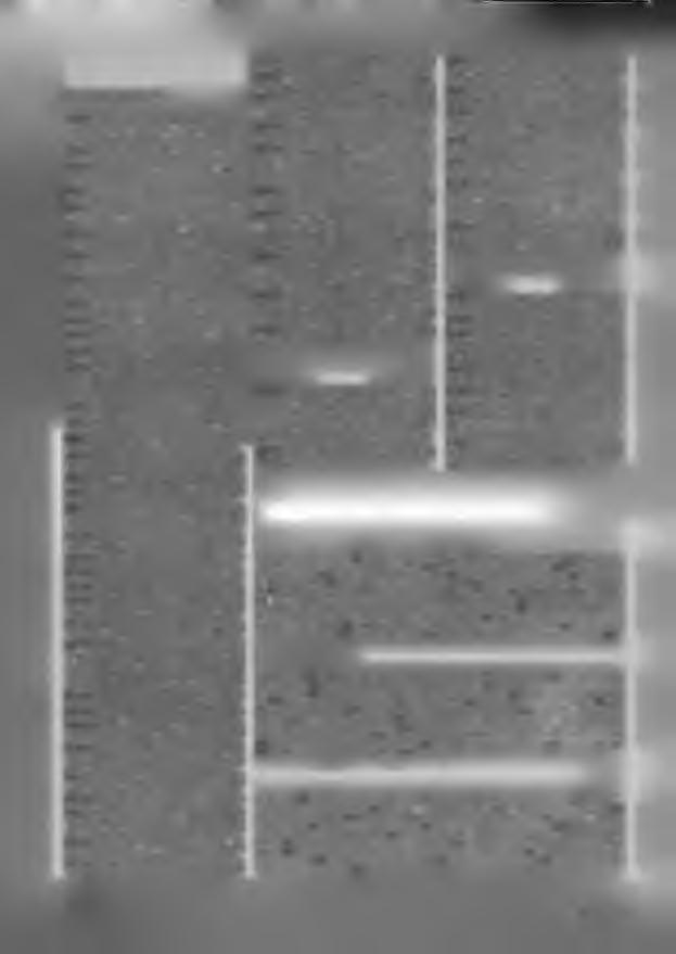 00Π0Π0ΠΒ S3 (Pokračování ze str. 29) 80 Parné loko na HO od západoeurópskych výrobcov, Dampflokoarchiv 1 4, J. Bek: Atlas lokomotiv 1 3. L Vrábel. Togliattiho 40. 851 02 Bratislava, tel.