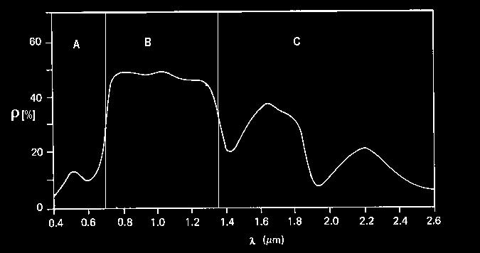 Spektrální projev vegetace II. Oblast buněčné struktury (0,7-1,3 µm) Pro vegetaci je typický výrazný nárůst odrazivosti ve vlnových délkách kolem 0,7 mikrometrů.